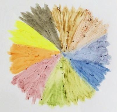 Eco Crayons Sticks - 6 Colour Box Set: 100% Natural Plant Based Crayons
