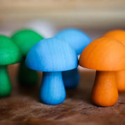 Coloured Mushroom set of 10