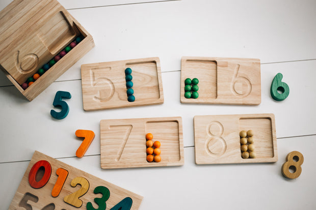 Jumbo Counting Trays set