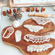 Butterfly Life Cycle Eco Cutter Set